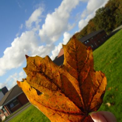 tsa_PhotoClubwk5 (13)